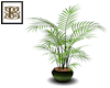 SB Green Planter