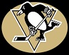 PIT Penguins SC Banner
