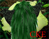 CKE Key Lime Ears