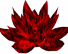 red and black lotus 