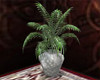 silver potted plant