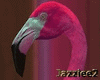 J2 Pink Flamingo