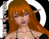 ✧ majestic amber