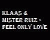 Mister Ruiz - Feel Only