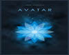 Avatar Movie Filler