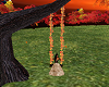 autumn swing for tree