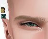 r. Alexus Eyebrow