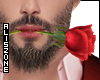 [AZ] Valentine's Rose