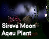  Sireva Moon Aqua Plant