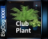 [BD] ClubPlants