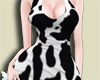 Dress Cows T3