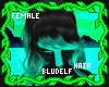 Minto Hair