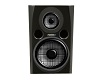 Fostex PMO 4 Speaker