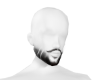 beard V2
