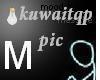 kuwaitqp pic