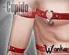 W° Cupido . Belts