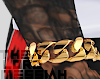Cuban Link Hood Trophies
