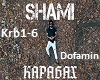 Shami-Karabah