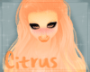 [N] Citrus Hair v2 F