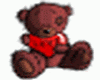 Shy Teddy Bear