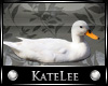 KL: FILLER White Duck