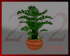 [Lynx] Potted Plant