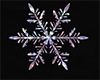 Snowflake Marker/Decor1
