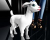 Kittle Lamb Animated