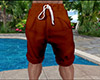 Brown Shorts (M)