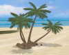 [CI]Palm Tree Group