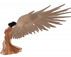 Elva's Wings