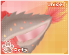 [Pets] Luci | ears v2