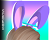 Custom Bunny Ears