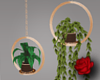 Hanging ring baskets