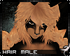 !F:Zane: Hair M v1