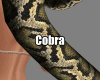 sw Body Cobra