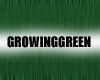 Growing Green Sora 
