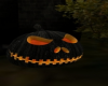 Midnight  Pumkin