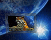 Moonlight tiger frame