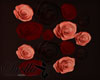 S= deco roses Petals