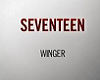 Winger Seventeen Remix