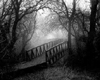 black / white bridge