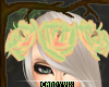 [CV] Spring Rose Crown