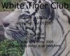 white tiger club rules