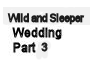 Wild Sleeper Wedding 3