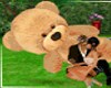 Friendly snuggle teddy