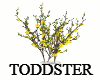 Forsythia Branches Vase