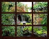 Spring Window 6