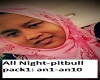 All Night-pitbull