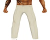Beige Casual Dress Pants